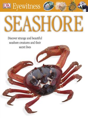 cover image of Seashore